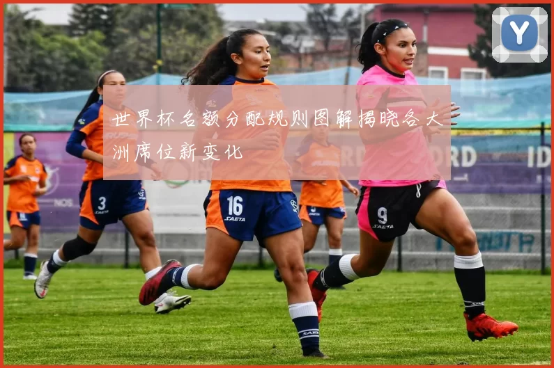 世界杯名额分配规则图解揭晓各大洲席位新变化