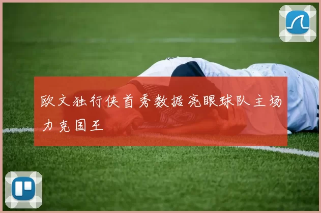 欧文独行侠首秀数据亮眼球队主场力克国王