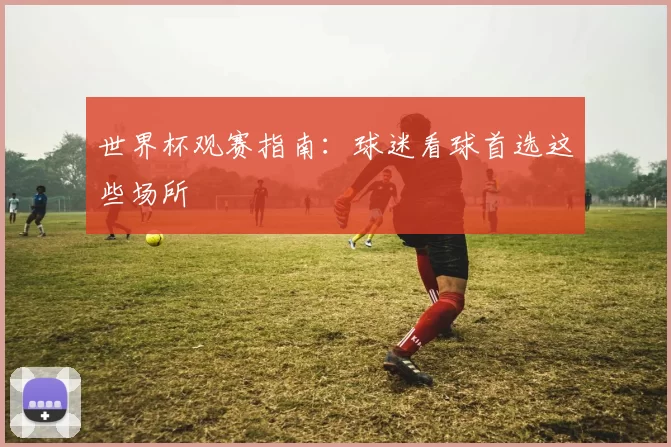 世界杯观赛指南:球迷看球首选这些场所