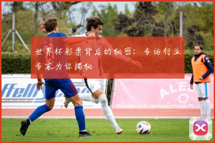 世界杯彩票背后的秘密:专访行业专家为你揭秘