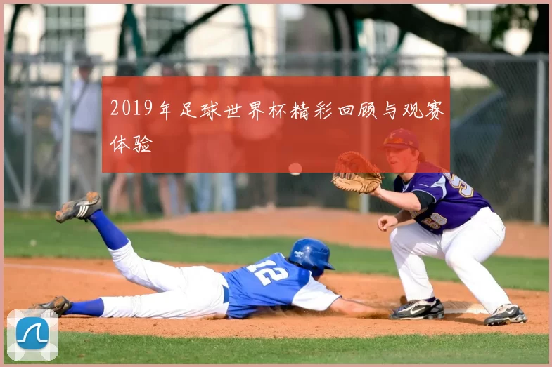 2019年足球世界杯精彩回顾与观赛体验