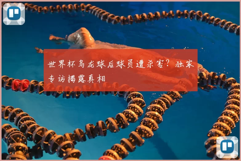世界杯乌龙球后球员遭杀害？独家专访揭露真相