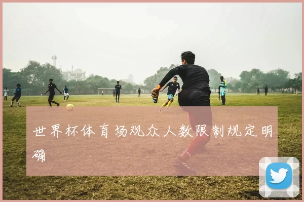 世界杯体育场观众人数限制规定明确