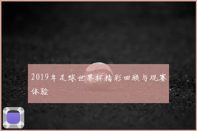 2019年足球世界杯精彩回顾与观赛体验