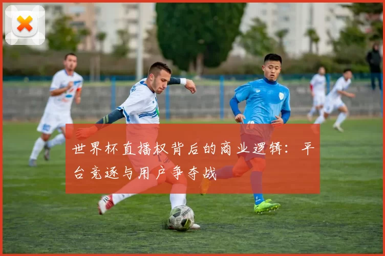 世界杯直播权背后的商业逻辑:平台竞逐与用户争夺战